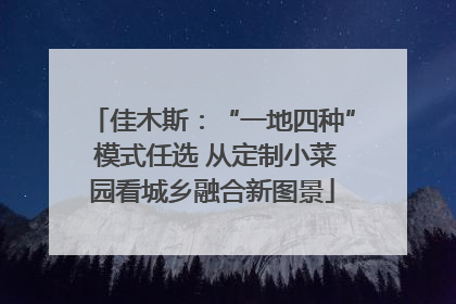 佳木斯：“一地四种” 模式任选 从定制小菜园看城乡融合新图景