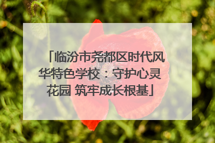 临汾市尧都区时代风华特色学校：守护心灵花园 筑牢成长根基