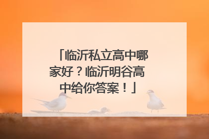 临沂私立高中哪家好？临沂明谷高中给你答案！