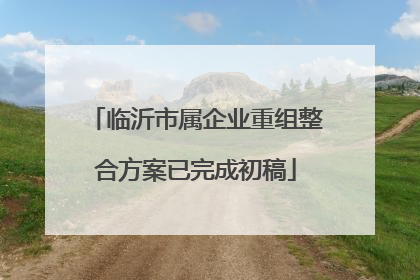 临沂市属企业重组整合方案已完成初稿