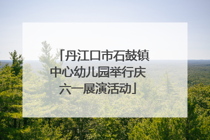 丹江口市石鼓镇中心幼儿园举行庆六一展演活动