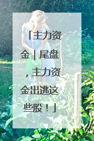 主力资金｜尾盘，主力资金出逃这些股！