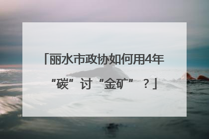 丽水市政协如何用4年“碳”讨“金矿”？
