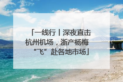 一线行丨深夜直击杭州机场，浙产杨梅“飞”赴各地市场