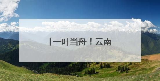 一叶当舟！云南这种神奇植物进入最佳观赏期