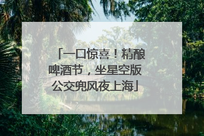 一口惊喜！精酿啤酒节，坐星空版公交兜风夜上海