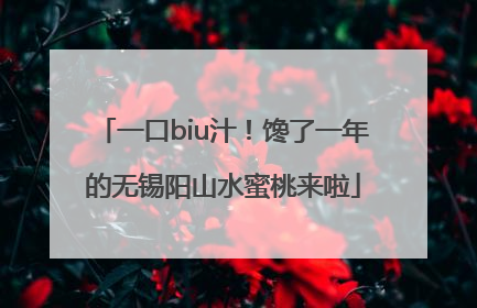 一口biu汁！馋了一年的无锡阳山水蜜桃来啦