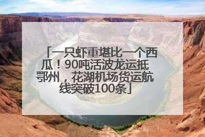 一只虾重堪比一个西瓜！90吨活波龙运抵鄂州，花湖机场货运航线突破100条