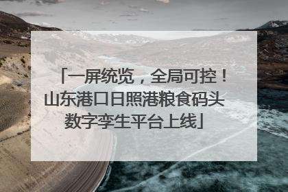 一屏统览，全局可控！山东港口日照港粮食码头数字孪生平台上线