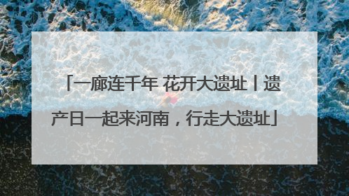 一廊连千年 花开大遗址丨遗产日一起来河南，行走大遗址