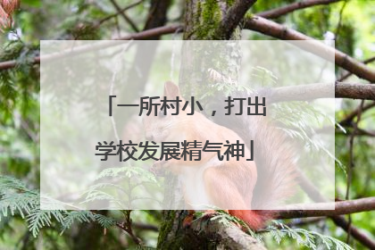 一所村小，打出学校发展精气神