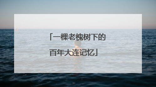 一棵老槐树下的百年大连记忆