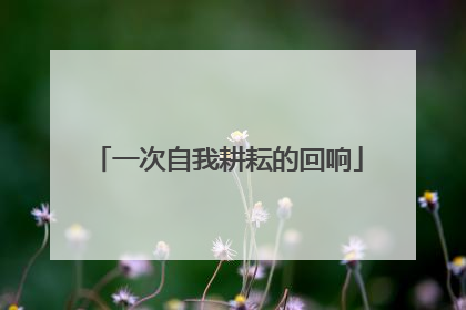 一次自我耕耘的回响
