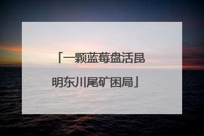 一颗蓝莓盘活昆明东川尾矿困局