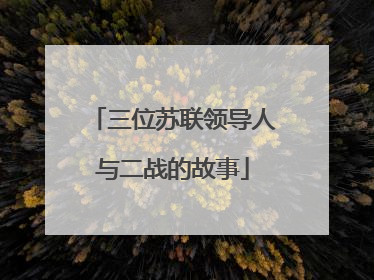 三位苏联领导人与二战的故事