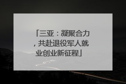 三亚：凝聚合力，共赴退役军人就业创业新征程