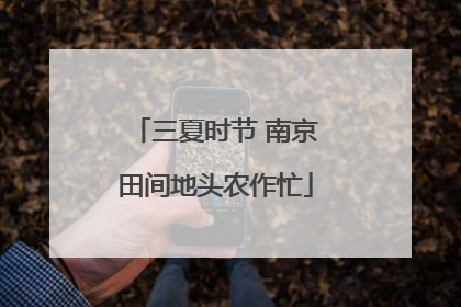 三夏时节 南京田间地头农作忙
