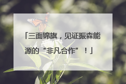 三面锦旗，见证振森能源的“非凡合作”！