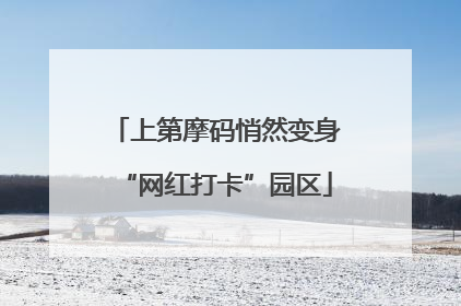 上第摩码悄然变身“网红打卡”园区