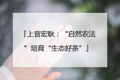 上官宏耿：“自然农法”培育“生态好茶”