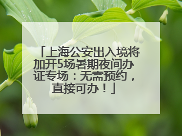 上海公安出入境将加开5场暑期夜间办证专场：无需预约，直接可办！