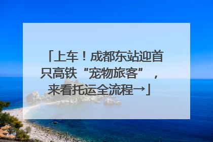 上车！成都东站迎首只高铁“宠物旅客”，来看托运全流程→