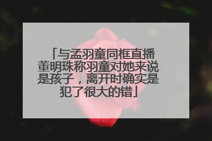 与孟羽童同框直播 董明珠称羽童对她来说是孩子，离开时确实是犯了很大的错