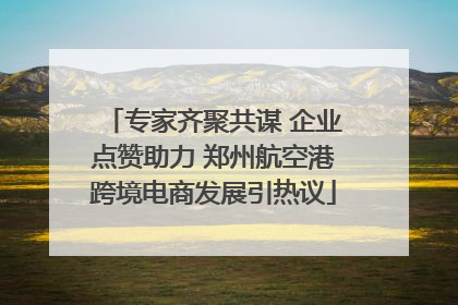 专家齐聚共谋 企业点赞助力 郑州航空港跨境电商发展引热议