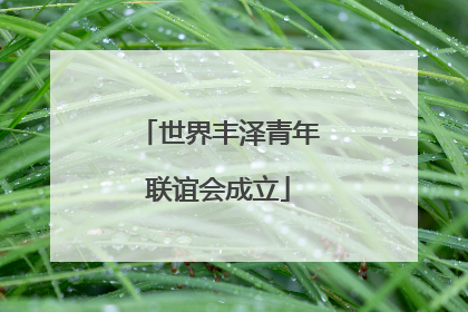 世界丰泽青年联谊会成立