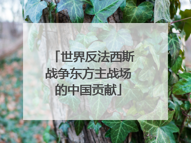 世界反法西斯战争东方主战场的中国贡献