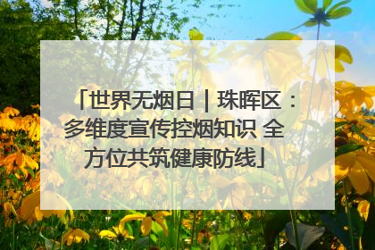 世界无烟日｜珠晖区：多维度宣传控烟知识 全方位共筑健康防线