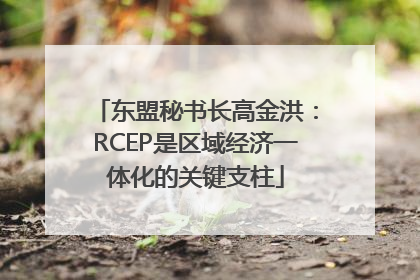 东盟秘书长高金洪：RCEP是区域经济一体化的关键支柱