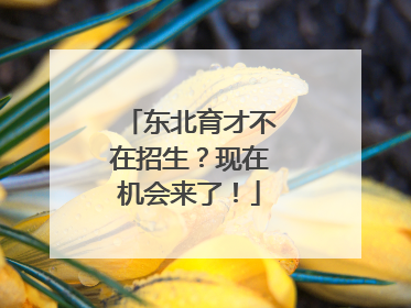 东北育才不在招生？现在机会来了！