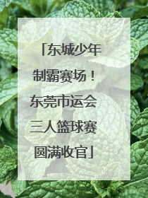 东城少年制霸赛场！东莞市运会三人篮球赛圆满收官