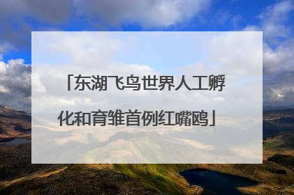 东湖飞鸟世界人工孵化和育雏首例红嘴鸥
