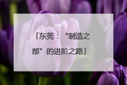 东莞:“制造之都”的进阶之路