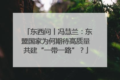东西问丨冯慧兰：东盟国家为何期待高质量共建“一带一路”？