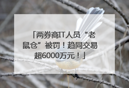 两券商IT人员“老鼠仓”被罚！趋同交易超6000万元！