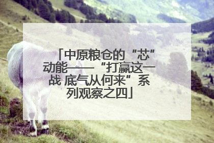 中原粮仓的“芯”动能——“打赢这一战 底气从何来”系列观察之四