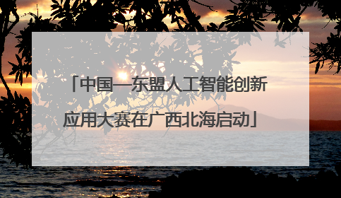 中国—东盟人工智能创新应用大赛在广西北海启动