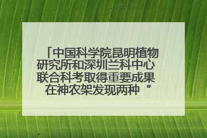 中国科学院昆明植物研究所和深圳兰科中心联合科考取得重要成果 在神农架发现两种“国保”级兰花