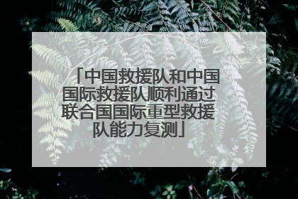 中国救援队和中国国际救援队顺利通过联合国国际重型救援队能力复测