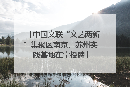 中国文联“文艺两新”集聚区南京、苏州实践基地在宁授牌