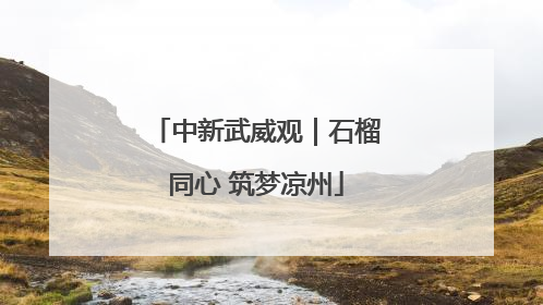 中新武威观｜石榴同心 筑梦凉州