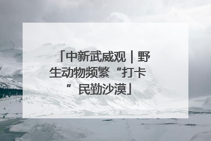 中新武威观｜野生动物频繁“打卡”民勤沙漠