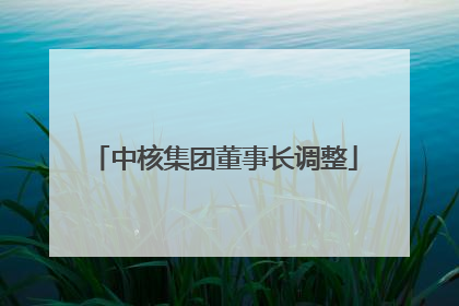 中核集团董事长调整