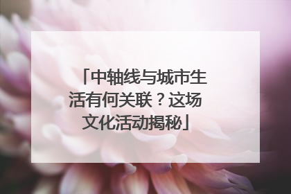 中轴线与城市生活有何关联？这场文化活动揭秘