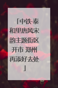 中铁·泰和里唐风宋韵主题街区开市 郑州再添好去处