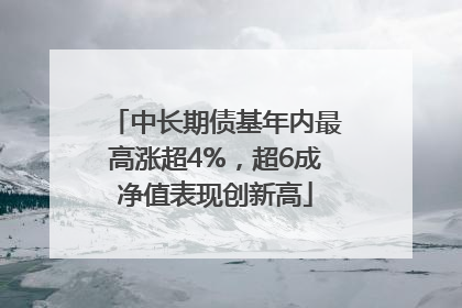 中长期债基年内最高涨超4%，超6成净值表现创新高
