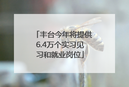 丰台今年将提供6.4万个实习见习和就业岗位